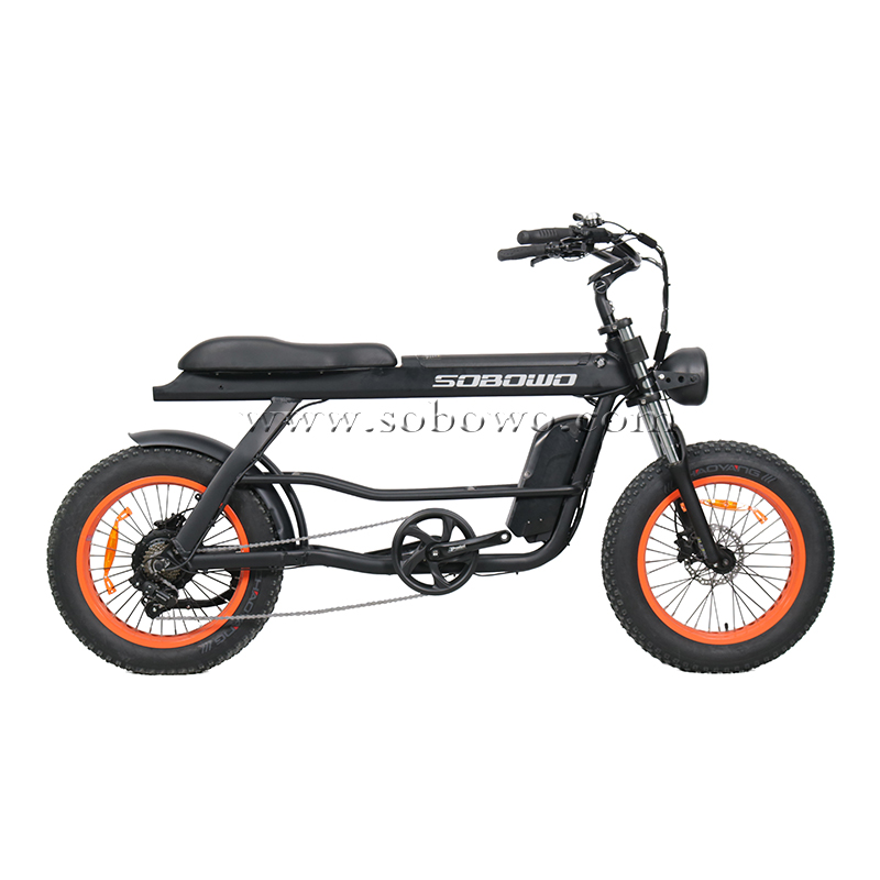 SOBOWO Unique Designed S68 Integrated Wheel Long Tail Cargo Electric Bike 