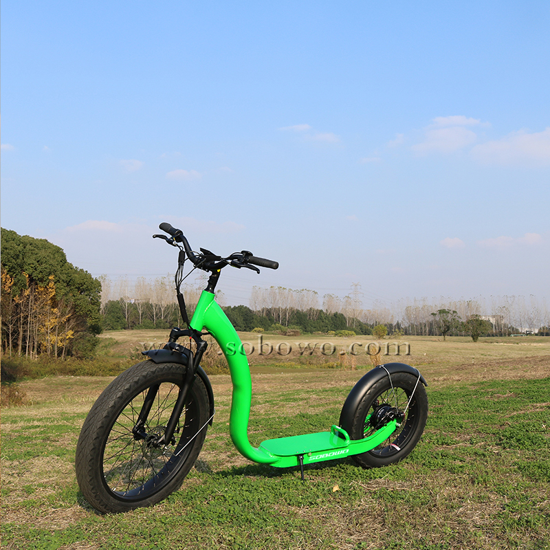 Tyranno Electric Scooter